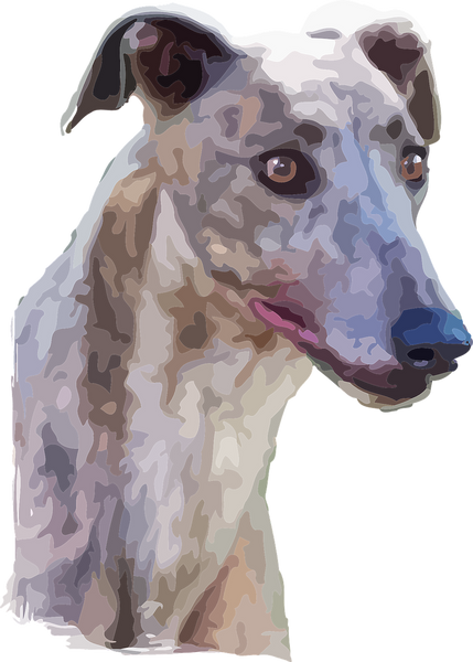 Dog Fabric, Greyhound Fabric Watercolor 1481 - Beautiful Quilt 