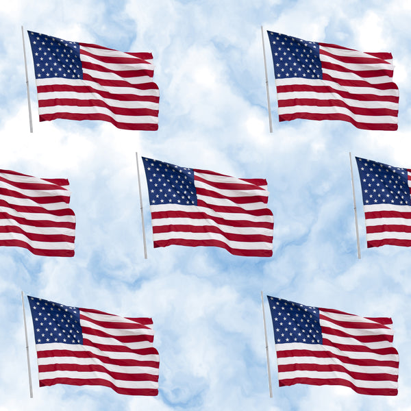 Patriotic Fabric, Flag Fabric on a Sky Blue background, Cotton or Fleece 2255 - Beautiful Quilt 