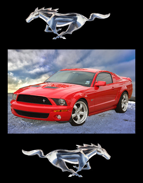 Car Fabric, Mustang Car Fabric, Red Mustang, Cotton or Fleece 3857, 56 x 72 inches - Beautiful Quilt 