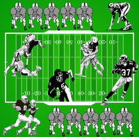Sports Fabric, Football Field Fabric with players 1217 - Beautiful Quilt 