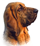 Dog Fabric, Bloodhound, Custom Print Fabric 5470 - Beautiful Quilt 