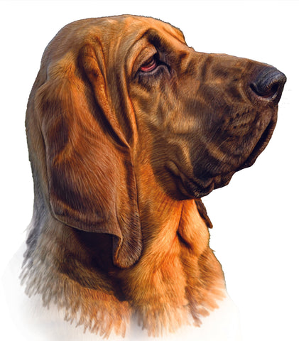 Bloodhound Fabric