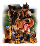 Dog Fabric, Yorkshire Terrier Fabric, Custome Print Fabric, Family 5525 - Beautiful Quilt 