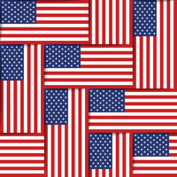 Patriotic Fabric,  American Flag, Cotton or fleece 7145 - Beautiful Quilt 