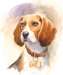 Beagle Fabric, Watercolor Beagle Head and Shoulders, 2076 - Beautiful Quilt 