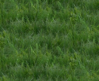 Grass Fabric Elizabeth Studio Fabric Landscape Medley green 2858 - Beautiful Quilt 