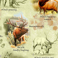 Wildlife Fabric Elk Fabric Mountain Elk Realistic Elk 5326 - Beautiful Quilt 