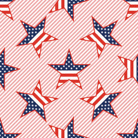 Patriotic Fabric,  American Flag Stars, Cotton or Fleece 7146 - Beautiful Quilt 