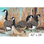 Bird Fabric, Canada Goose, Wildlife Panel 5915 - Beautiful Quilt 