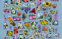 Flower Fabric, Hoffman Fabric, State Flowers 7241 - Beautiful Quilt 