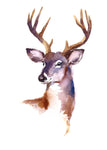 Wildlife Fabric, Deer Fabric, Watercolor Fabric, Elk Fabric 370 - Beautiful Quilt 