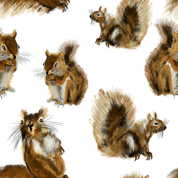 Animal Fabric, Squirrel Fabric, Squirrel all over on White, Cotton or Fleece 3563 - Beautiful Quilt 