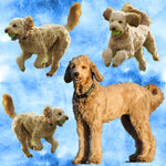 Dog Fabric, Goldendoodle Fabric, Cotton or Fleece 2131 - Beautiful Quilt 