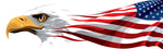 Patriotic Fabric, Custom Print Panel, Eagle and American Flag 2128 - Beautiful Quilt 