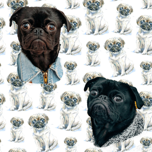 Dog Fabric, Pug Fabric, Big and Little Pug Fabric, 1351 - Beautiful Quilt 