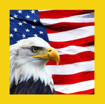 Bird Fabric, Patriotic Fabric, Eagle on a Flag with yellow border, Cotton or Fleece 1762 - Beautiful Quilt 
