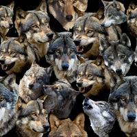 Wolf Fabric, Wolf Faces Fabric, Cotton or Fleece, 4108 - Beautiful Quilt 