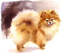 Dog Fabric, Pomeranian Fabric, Watercolor 1465 - Beautiful Quilt 