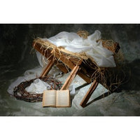 Christmas Fabric, Custom Print Fabric, Nativity The Manger 5895 - Beautiful Quilt 
