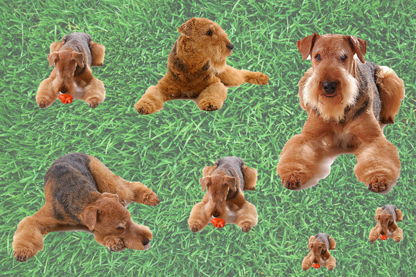 Dog Fabric, Airedale Fabric allover, Cotton or Fleece 1543 - Beautiful Quilt 