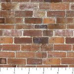 Brick Fabric Northcott Naturescapes Landscape 5367 - Beautiful Quilt 