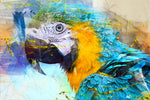 Bird Fabric, Parrot Fabric, Big Blue Watercolor 440 - Beautiful Quilt 