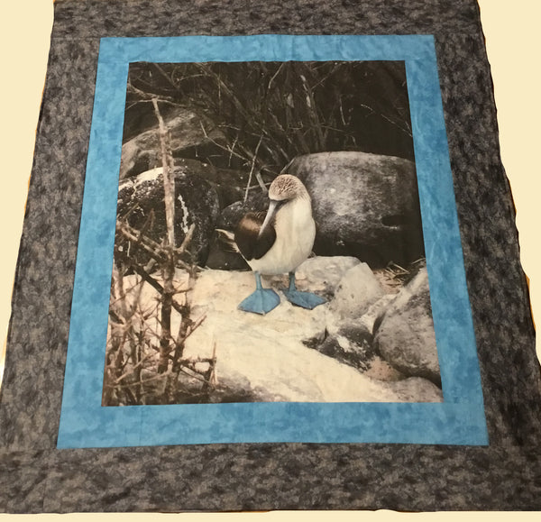 Blue Footed Booby Quilt, Gallery, not for sale 2502 - Beautiful Quilt 