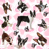 Dog Fabric, Boston Terrier Fabric, on a Heart Background, Cotton or Fleece 2125 - Beautiful Quilt 