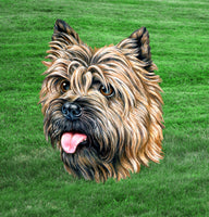 Dog Fabric, Cairn Terrier Fabric Panel, Headshot 1503 - Beautiful Quilt 
