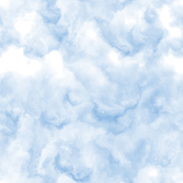 Landscape Fabric, Puffy Cloud Fabric, Sky Fabric, Cotton or Fleece, 3528 - Beautiful Quilt 