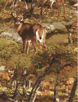 Wildlife Fabric Deer Fabric In the Wild 4047 - Beautiful Quilt 