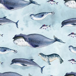 Ocean Fabric, Whale Fabric, Seal Fabric, Cotton or Fleece, 3538 - Beautiful Quilt 