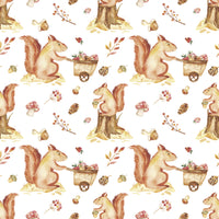 Animal Fabric, Watercolor Squirrel Fabric, Cotton or Fleece, 3565 - Beautiful Quilt 
