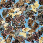 Butterfly Fabric Camelot Fabric Country Diary blue 2801 - Beautiful Quilt 