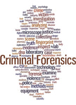 Police Fabric, Custom Print Panel, Criminal Forensic 5842 - Beautiful Quilt 