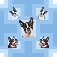Dog Fabric, Boston Terrier on Blue, Cotton or Fleece, 3323 - Beautiful Quilt 