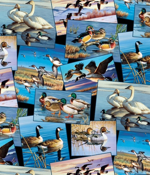 Bird Fabric, Waterfowl Collection,  Loon and Duck Fabric 5068 - Beautiful Quilt 