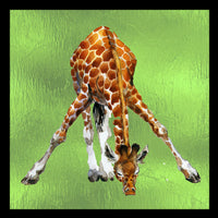 African Fabric, Giraffe Fabric Pane with vingettes, 56 inches x 80 inches, Cotton or Fleece 3915 - Beautiful Quilt 