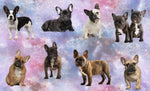 Dog Fabric, French Bulldog Fabric, aka Frenchies, All Colors, Cotton or Fleece, 3355 - Beautiful Quilt 