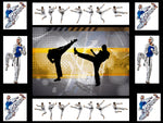 Martial Arts Fabric, Tae Kwon Do Fabric Panel, Gray and Gold Fabric Panel, 3703 - Beautiful Quilt 