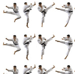 Martial Arts Fabric, All over Martial Arts Posses, Cotton or Fleece, 3704 - Beautiful Quilt 