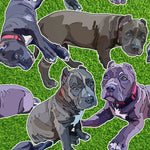 Dog Fabric, Pit Bull Fabric Grass Background seamless, Cotton or Fleece, 2085 - Beautiful Quilt 