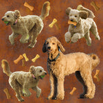 Dog Fabric, Goldendoodle Fabric on Rust with Bones, Cotton or Fleece 2132 - Beautiful Quilt 