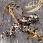 Dinosaur Fabric, Transaurus Skull Fabric Panel 1770 - Beautiful Quilt 