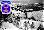 Military Fabric, 10th Mountain Division Ski Troopers 520 - Beautiful Quilt 