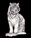 Animal Fabric, White Tiger Fabric Panel, Watercolor 2059 - Beautiful Quilt 